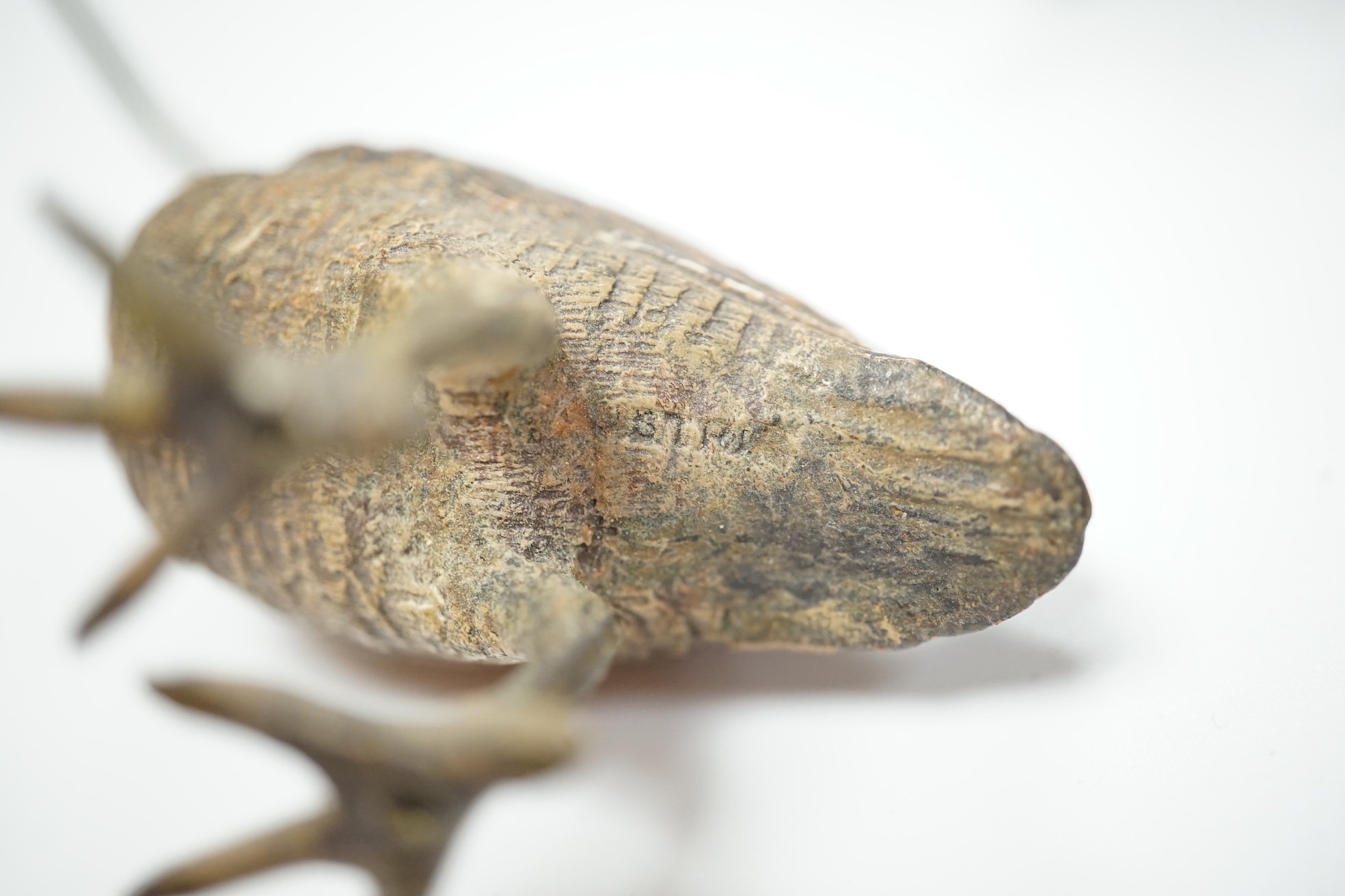 Two early 20th century cold painted bronze Long Billed Curlew, larger 6cm high. Condition fair to poor, smaller has detached foot but present.